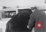 Immagine di Jack Dempsey New York United States USA, 1935, secondo 29 filmato di repertorio 65675025714