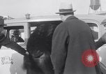 Immagine di Jack Dempsey New York United States USA, 1935, secondo 33 filmato di repertorio 65675025714