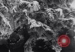Image of Santa giving gifts Washington State United States USA, 1935, second 29 stock footage video 65675025716