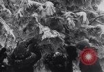 Image of Santa giving gifts Washington State United States USA, 1935, second 30 stock footage video 65675025716