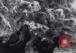 Image of Santa giving gifts Washington State United States USA, 1935, second 32 stock footage video 65675025716