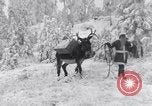 Image of Santa giving gifts Washington State United States USA, 1935, second 46 stock footage video 65675025716