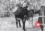 Image of Santa giving gifts Washington State United States USA, 1935, second 47 stock footage video 65675025716