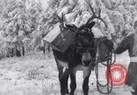 Image of Santa giving gifts Washington State United States USA, 1935, second 48 stock footage video 65675025716