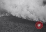 Image of Blaze of fire New York United States USA, 1937, second 14 stock footage video 65675025729