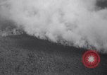 Image of Blaze of fire New York United States USA, 1937, second 15 stock footage video 65675025729