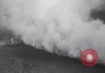 Image of Blaze of fire New York United States USA, 1937, second 16 stock footage video 65675025729