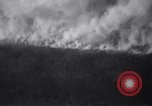 Image of Blaze of fire New York United States USA, 1937, second 32 stock footage video 65675025729