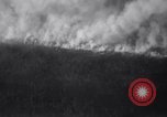 Image of Blaze of fire New York United States USA, 1937, second 33 stock footage video 65675025729