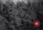 Image of Blaze of fire New York United States USA, 1937, second 40 stock footage video 65675025729