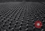 Image of Benito Mussolini Rome Italy, 1937, second 25 stock footage video 65675025731