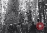Image soldat épouse Warrenton Oregon USA, 1937, de la seconde 28 séquences d'archives historiques vidéo 65675025732