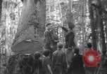 Image soldat épouse Warrenton Oregon USA, 1937, de la seconde 29 séquences d'archives historiques vidéo 65675025732