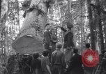 Image soldat épouse Warrenton Oregon USA, 1937, de la seconde 30 séquences d'archives historiques vidéo 65675025732
