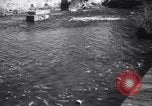 Image Les pêcheurs pêchent Middleboro Massachusetts USA, 1937, de la seconde 24 séquences d'archives historiques vidéo 65675025733