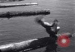 Standbild log rolling Longview Washington USA, 1937, aus Sekunde 45 historischem Filmmaterial Videoclip 65675025736