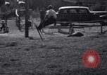 Standbild Sommer Ski California United States USA, 1939, aus Sekunde 60 historischem Filmmaterial Videoclip 65675025738