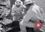 Image of Civil Defense Rescue Service School New York United States USA, 1951, second 45 stock footage video 65675025741