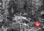 Standbild Flugzeugabsturz Colorado United States USA, 1951, aus Sekunde 9 historischem Filmmaterial Videoclip 65675025742