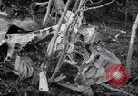 Standbild Flugzeugabsturz Colorado United States USA, 1951, aus Sekunde 10 historischem Filmmaterial Videoclip 65675025742