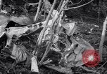 Standbild Flugzeugabsturz Colorado United States USA, 1951, aus Sekunde 11 historischem Filmmaterial Videoclip 65675025742