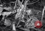 Standbild Flugzeugabsturz Colorado United States USA, 1951, aus Sekunde 12 historischem Filmmaterial Videoclip 65675025742