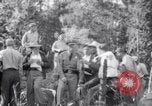 Standbild Flugzeugabsturz Colorado United States USA, 1951, aus Sekunde 13 historischem Filmmaterial Videoclip 65675025742