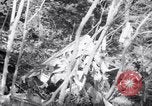 Standbild Flugzeugabsturz Colorado United States USA, 1951, aus Sekunde 24 historischem Filmmaterial Videoclip 65675025742