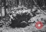 Standbild Flugzeugabsturz Colorado United States USA, 1951, aus Sekunde 26 historischem Filmmaterial Videoclip 65675025742