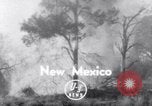 Standbild Forest Fire New Mexico United States USA, 1951, aus Sekunde 1 historischem Filmmaterial Videoclip 65675025743