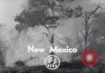 Standbild Forest Fire New Mexico United States USA, 1951, aus Sekunde 3 historischem Filmmaterial Videoclip 65675025743