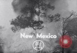 Standbild Forest Fire New Mexico United States USA, 1951, aus Sekunde 4 historischem Filmmaterial Videoclip 65675025743