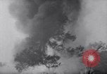 Standbild Forest Fire New Mexico United States USA, 1951, aus Sekunde 5 historischem Filmmaterial Videoclip 65675025743