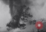 Standbild Forest Fire New Mexico United States USA, 1951, aus Sekunde 6 historischem Filmmaterial Videoclip 65675025743