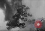 Standbild Forest Fire New Mexico United States USA, 1951, aus Sekunde 7 historischem Filmmaterial Videoclip 65675025743
