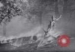 Standbild Forest Fire New Mexico United States USA, 1951, aus Sekunde 9 historischem Filmmaterial Videoclip 65675025743