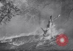 Standbild Forest Fire New Mexico United States USA, 1951, aus Sekunde 11 historischem Filmmaterial Videoclip 65675025743
