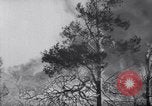 Standbild Forest Fire New Mexico United States USA, 1951, aus Sekunde 12 historischem Filmmaterial Videoclip 65675025743