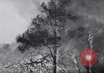 Standbild Forest Fire New Mexico United States USA, 1951, aus Sekunde 13 historischem Filmmaterial Videoclip 65675025743