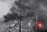 Standbild Forest Fire New Mexico United States USA, 1951, aus Sekunde 14 historischem Filmmaterial Videoclip 65675025743