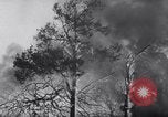 Standbild Forest Fire New Mexico United States USA, 1951, aus Sekunde 16 historischem Filmmaterial Videoclip 65675025743