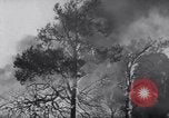 Standbild Forest Fire New Mexico United States USA, 1951, aus Sekunde 17 historischem Filmmaterial Videoclip 65675025743