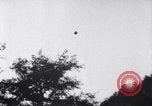 Standbild Forest Fire New Mexico United States USA, 1951, aus Sekunde 26 historischem Filmmaterial Videoclip 65675025743
