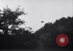 Standbild Forest Fire New Mexico United States USA, 1951, aus Sekunde 27 historischem Filmmaterial Videoclip 65675025743