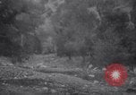 Standbild Forest Fire New Mexico United States USA, 1951, aus Sekunde 28 historischem Filmmaterial Videoclip 65675025743