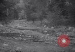 Standbild Forest Fire New Mexico United States USA, 1951, aus Sekunde 29 historischem Filmmaterial Videoclip 65675025743