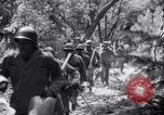 Standbild Forest Fire New Mexico United States USA, 1951, aus Sekunde 30 historischem Filmmaterial Videoclip 65675025743