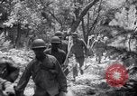 Standbild Forest Fire New Mexico United States USA, 1951, aus Sekunde 31 historischem Filmmaterial Videoclip 65675025743