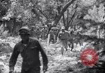 Standbild Forest Fire New Mexico United States USA, 1951, aus Sekunde 33 historischem Filmmaterial Videoclip 65675025743