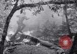 Standbild Forest Fire New Mexico United States USA, 1951, aus Sekunde 34 historischem Filmmaterial Videoclip 65675025743